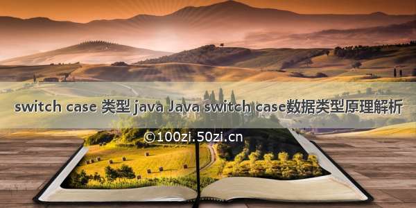 switch case 类型 java Java switch case数据类型原理解析