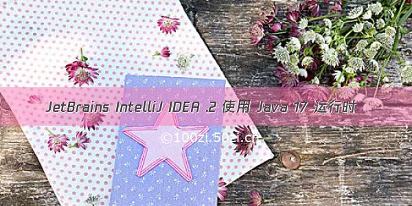 JetBrains IntelliJ IDEA .2 使用 Java 17 运行时