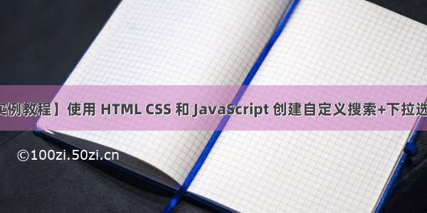 【前端实例教程】使用 HTML CSS 和 JavaScript 创建自定义搜索+下拉选择框菜单