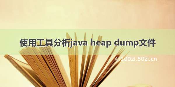 使用工具分析java heap dump文件