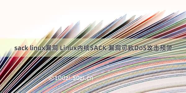 sack linux漏洞 Linux内核SACK 漏洞可致DoS攻击预警