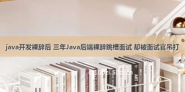 java开发裸辞后 三年Java后端裸辞跳槽面试 却被面试官吊打