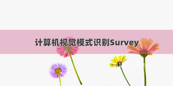 计算机视觉模式识别Survey