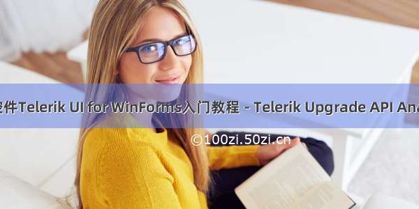 界面控件Telerik UI for WinForms入门教程 - Telerik Upgrade API Analyzer