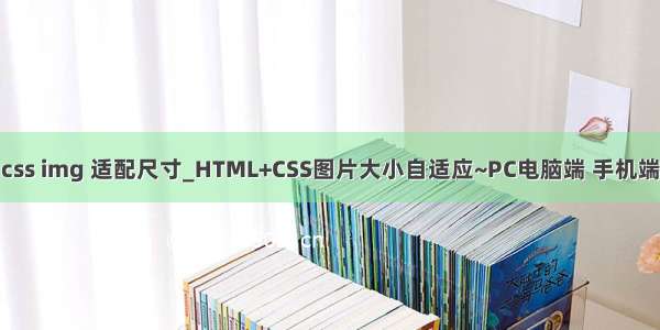 css img 适配尺寸_HTML+CSS图片大小自适应~PC电脑端 手机端