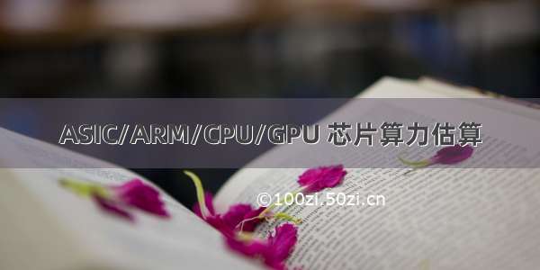 ASIC/ARM/CPU/GPU 芯片算力估算