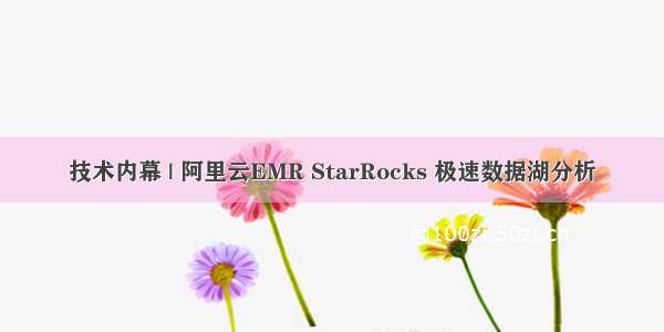 技术内幕 | 阿里云EMR StarRocks 极速数据湖分析