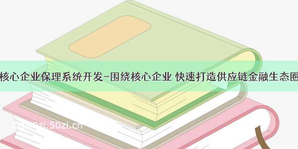 核心企业保理系统开发-围绕核心企业 快速打造供应链金融生态圈