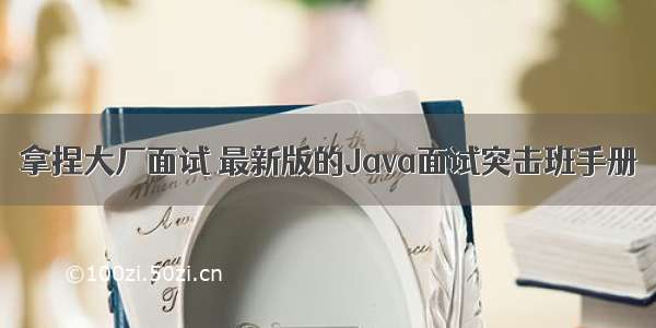 拿捏大厂面试 最新版的Java面试突击班手册