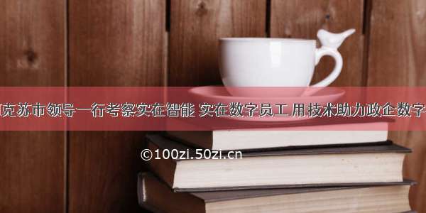 新疆阿克苏市领导一行考察实在智能 实在数字员工 用技术助力政企数字化转型