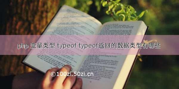 php 变量类型 typeof typeof返回的数据类型有哪些