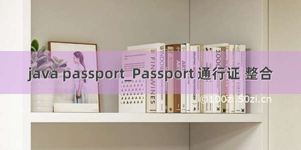 java passport_Passport 通行证 整合