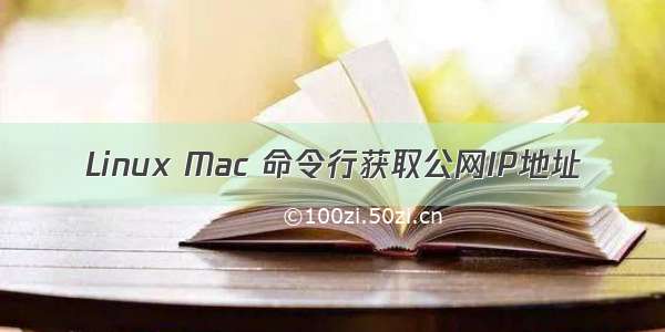 Linux Mac 命令行获取公网IP地址