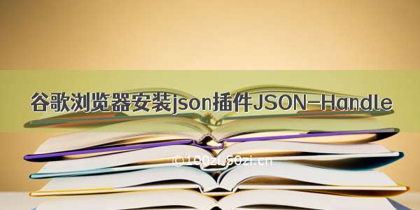 谷歌浏览器安装json插件JSON-Handle