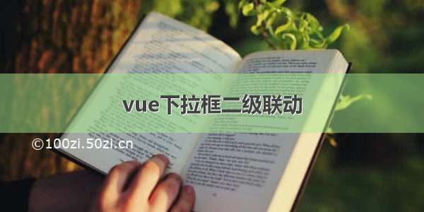 vue下拉框二级联动