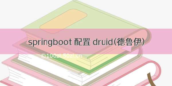 springboot 配置 druid(德鲁伊)
