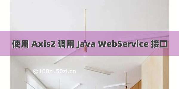 使用 Axis2 调用 Java WebService 接口