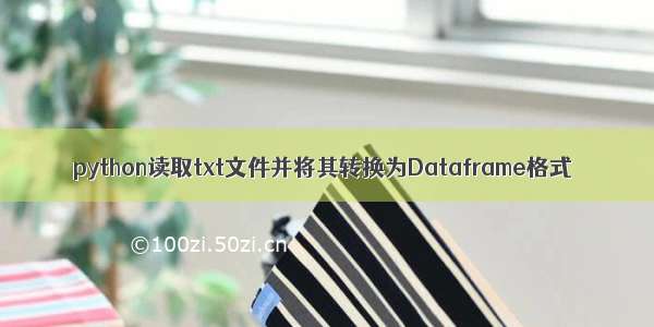 python读取txt文件并将其转换为Dataframe格式