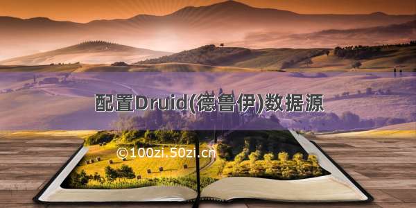 配置Druid(德鲁伊)数据源