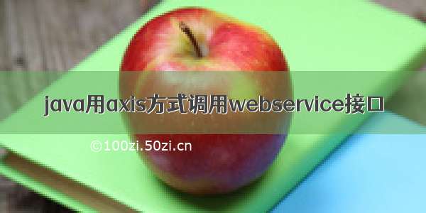 java用axis方式调用webservice接口