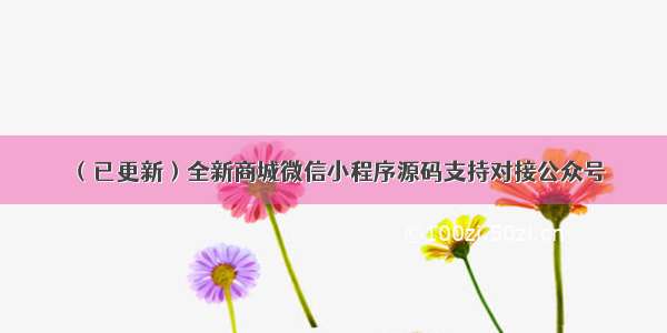 （已更新）全新商城微信小程序源码支持对接公众号