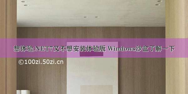 想体验.NET7又不想安装体验版 Windows沙盒了解一下