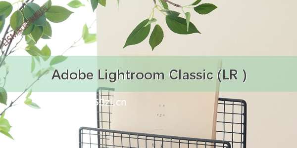 Adobe Lightroom Classic (LR )