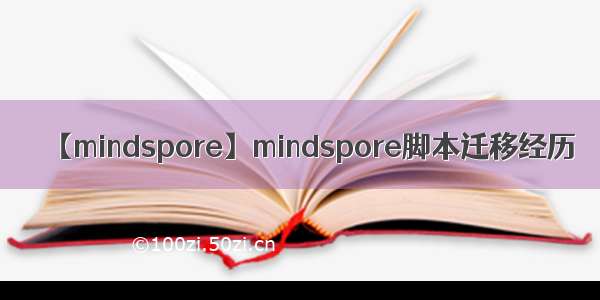 【mindspore】mindspore脚本迁移经历