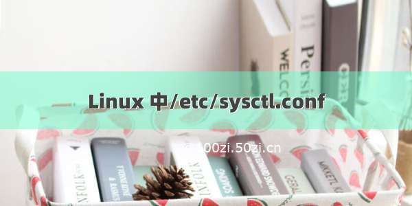 Linux 中/etc/sysctl.conf