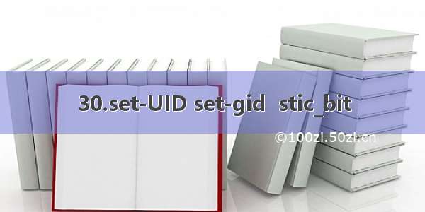 30.set-UID set-gid  stic_bit