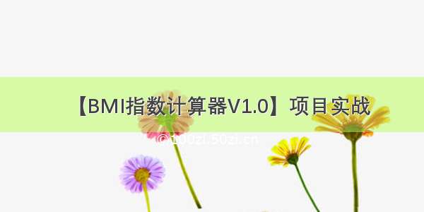 【BMI指数计算器V1.0】项目实战