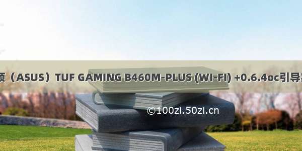 i5-10400+ 华硕（ASUS）TUF GAMING B460M-PLUS (WI-FI) +0.6.4oc引导实现完美黑苹果