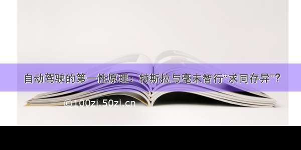 自动驾驶的第一性原理：特斯拉与毫末智行“求同存异”？