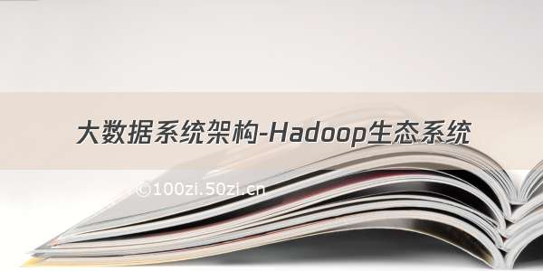 大数据系统架构-Hadoop生态系统