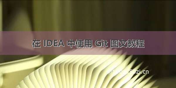 在 IDEA 中使用 Git 图文教程