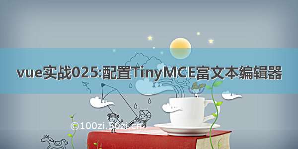 vue实战025:配置TinyMCE富文本编辑器