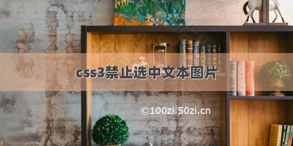 css3禁止选中文本图片