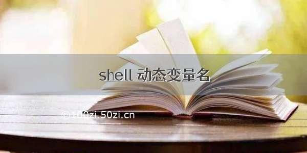 shell 动态变量名