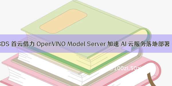 CDS 首云借力 OpenVINO Model Server 加速 AI 云服务落地部署