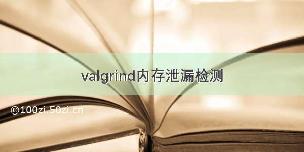 valgrind内存泄漏检测