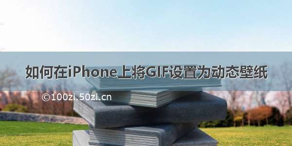 如何在iPhone上将GIF设置为动态壁纸