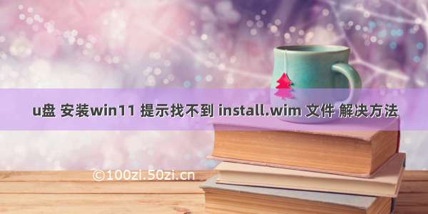 u盘 安装win11 提示找不到 install.wim 文件 解决方法
