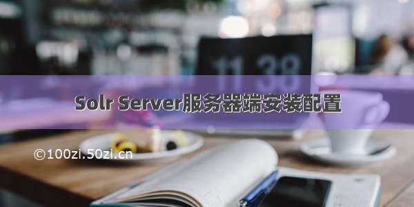 Solr Server服务器端安装配置