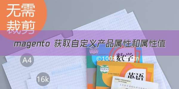 magento 获取自定义产品属性和属性值