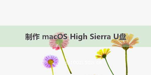 制作 macOS High Sierra U盘
