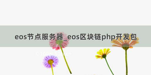 eos节点服务器_eos区块链php开发包
