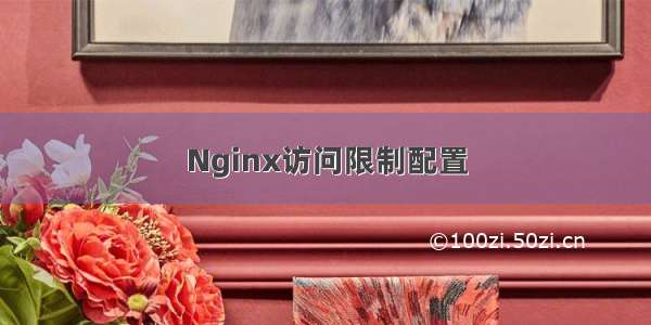 Nginx访问限制配置