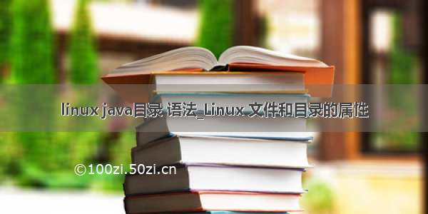 linux java目录 语法_Linux 文件和目录的属性