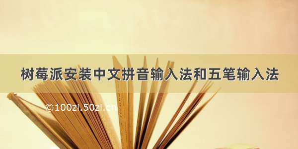 树莓派安装中文拼音输入法和五笔输入法