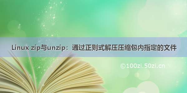 Linux zip与unzip：通过正则式解压压缩包内指定的文件